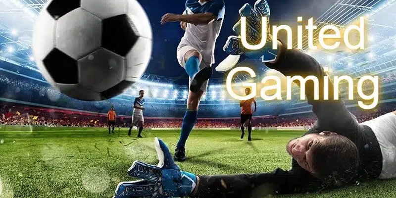 3 bước tham gia cá cược tại sảnh United Gaming Kubet77