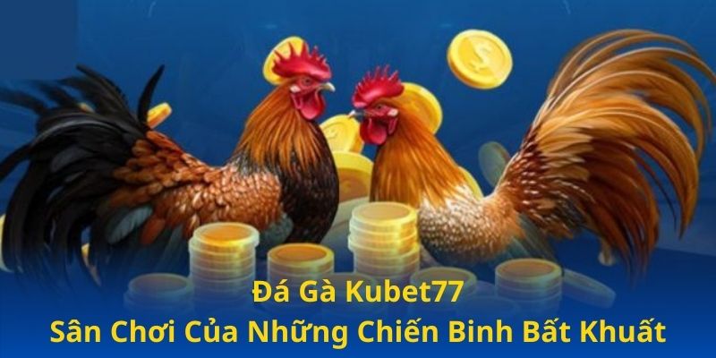 Đá Gà Kubet77