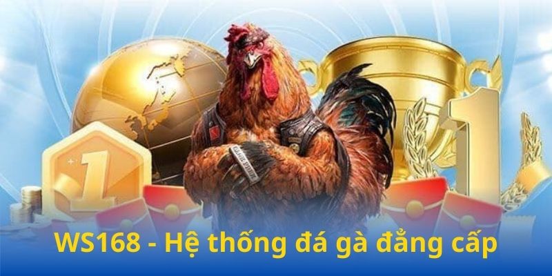 WS168 - Hệ thống đá gà đẳng cấp